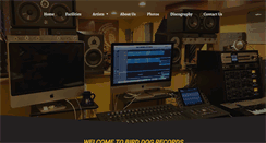 Desktop Screenshot of birddogrecords.net